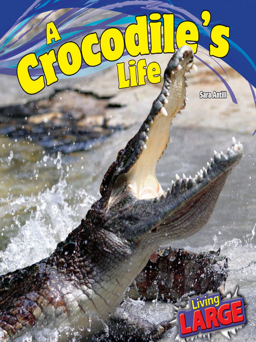 Title details for A Crocodile's Life by Sara Antill - Available